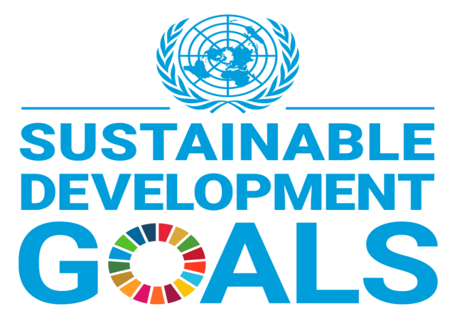 UN SDGs